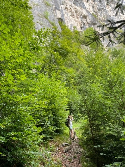 oberaudorf01