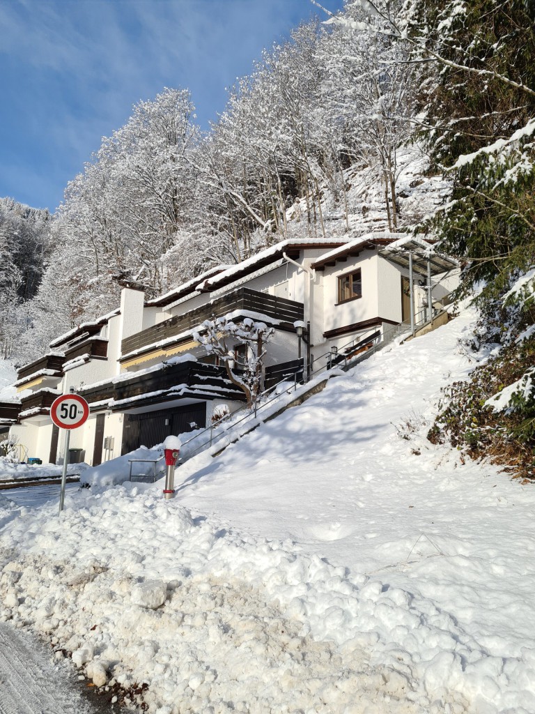 im Schnee